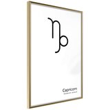  Poster - Zodiac: Capricorn II 20x30 Cijene