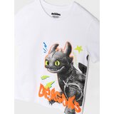 Sinsay Komplet dvodijelne pidžame How to train your dragon | shoptok.hr