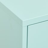 Ormarić za pohranu boja mente 80 x 35 x 101,5 cm čelični | shoptok.hr