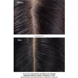 Aveda scalp solutions refreshing protective mist zaščitna meglica za hitro mastne lase 100 ml | Shoptok.si