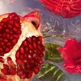 Guerlain Aqua Allegoria Granada Salvia toaletna voda punjiva za žene 75 ml | shoptok.hr