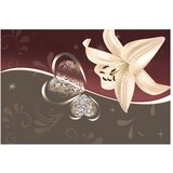  Tapeta - Cream lily 400x270 | shoptok.hr