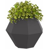  Sadilica 2 pcs Crna 50 x 50 x 40 cm Čelik | Eponuda.com