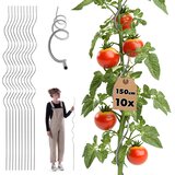 KADAX Spiralna palica za paradižnik, fižol, kumare, podpora za rastline 150 cm 10 kosov, (5000362524) | Shoptok.si