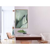  Poster - Young Leaf of Agave 40x60 | shoptok.hr