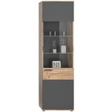 MID.YOU Dnevni Regal Mason, Siva, Barva Hrasta, 4-Delno | Shoptok.si