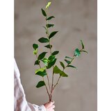 Bloomingville Umetni evkaliptus (višina 110 cm) Eucalyptus – | Shoptok.si
