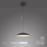 SCHÖNER WOHNEN 14606-18-LED prigušiva luster na sajli LENTE LED/17W/230V prečnik 40 cm crna | Eponuda.com