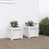 Maison Chic Vrtno cvetlično korito - Cvetlični Lonec 2 kosa bela trdna borovina, (21789118) | Shoptok.si