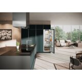 Liebherr HLADILNIK LIEBHERR IRE 5100 | Shoptok.si