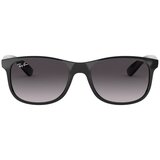 Ray-ban Muške Sunčane naočale Ray Ban RB4202 Black | shoptok.hr