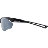  ALPINA SPORTS kolesarska očala Nylos HR | Shoptok.si