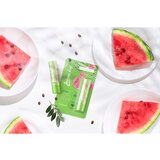 Regina Juicy Summer Watermelon balzam za usne 4,5 g | shoptok.hr