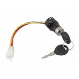 Veneco eb.brava glavna didi/midi | ePonuda.com