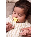 Tommee_Tippee Ultra Light Stay Put 0-6 m duda Boy 4 kos | Shoptok.si