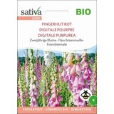 Sativa Ekološki dvoletni cvet "Rdeči naprstec" | Shoptok.si