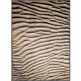 FD Smeđi tepih 80x120 cm Avanti – Cijene