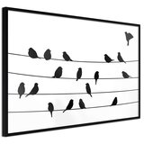  Poster - Birds Council Meeting 30x20 | shoptok.hr