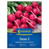 KIEPENKERL Zelenjavna semena Redkvica Saxa 3 (Raphanus sativus var. sativus, Čas žetve: Marec) | Shoptok.si
