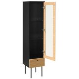 Livetastic VITRINA, furnirano hrast črna, barve hrasta | Shoptok.si