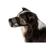  Korpa za pse za zaštitu od otrova m-l | Eponuda.com