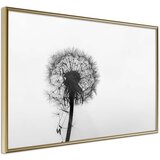  Poster - Waiting for the Wind 30x20 Cijene