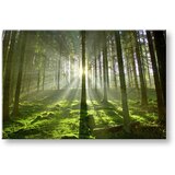  Slike na platnu drveće (moderne slike na platnu) | ePonuda.com