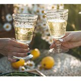 La Rochére Kozarec za vino 400 ml Versailles – | Shoptok.si