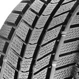 Roadstone Eurowin ( 195/70 R15C 104/102R 8PR ) zimska pnevmatika | Shoptok.si