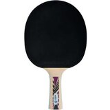 Donic Reket za ping pong Schildkröt Legends 800 | shoptok.hr