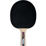 Donic reket za stoni tenis Legends 800 | Eponuda.com