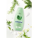 Schwarzkopf Schauma 7 Herbs zeliščni šampon za normalne in mastne lase 400 ml | Shoptok.si