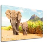  Zidna slika ŽIVOTINjE 40k60 cm | ePonuda.com
