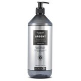 Šampon za oštećenu i lomljivu kosu Black Argent Glowing Effect – 1000 ml | Eponuda.ba
