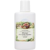 Fitocose viola tricolor šampon Cene
