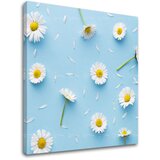  Slike na platnu belo CVIJEĆE_163-12 (moderne slike na platnu) | shoptok.hr