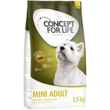 Mini Adult - 1,5 kg