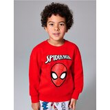 Sinsay Pamučna majica s printom Spider-Man | shoptok.hr