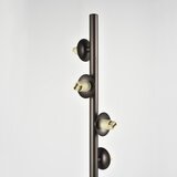 Brilagi LED stojeća lampa MILLA 7xG9/3W/230V braon/zadimljeno braon | Eponuda.com