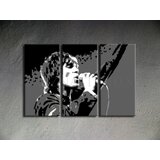  Ročno izdelana slika POP Art Ian Brown 3-delna (POP ART slike) | Shoptok.si