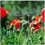Gardena Razpršilna šoba Micro-Drip (2 kos, premer: 4,6 mm) | Shoptok.si