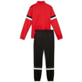 Puma Športna trenirka 'TeamRise' rdeča / črna / bela | Shoptok.si