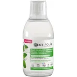 Concentrated Mouthwash Fresh - 250 ml