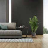 MID.YOU Umetna Rastlina Bambus | Shoptok.si