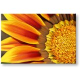  Slike na platnu cveće (moderne slike na platnu) | ePonuda.com