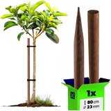 KADAX Impregniran lesen kol 80 cm, oporna palica za drevesa, premer 23 mm, (5000362664) Cene