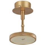 UMAGE LED reflektor u zlatnoj boji ø 12 cm Asteria Spot – Cijene