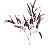 Mondex umetna veja plastika Viridis 80cm zelena 1kos, (5000329548) | Shoptok.si