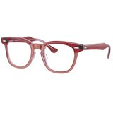 Ray-Ban Junior RY9098V 3960 - L (45) Cijene