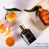 Laboratorio Olfattivo Mandarino kolonjska voda uniseks 100 ml | shoptok.hr